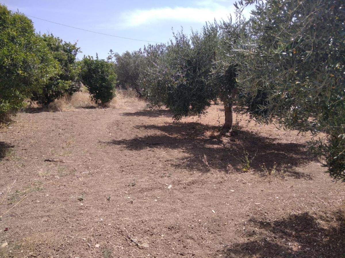 Capinera Bed and Breakfast Agrigento Buitenkant foto
